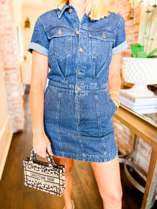 Topanga Denim Dress
