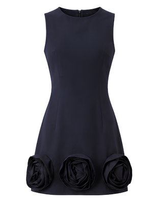 Renia Navy Dress
